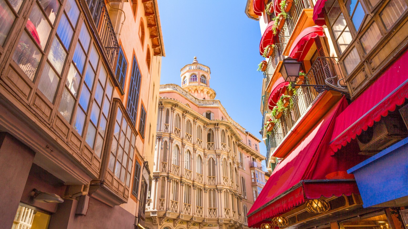 palma 2